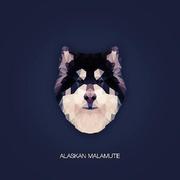 yunld的个人资料头像