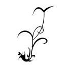 木丫的个人资料头像