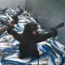 瑜重名了64626的个人资料头像