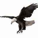 f君64700的个人资料头像