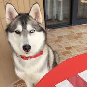 whoami333的个人资料头像