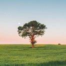 Lavau的个人资料头像