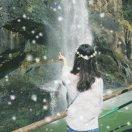 爱学习的陈同学的个人资料头像