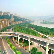 lujunoo的个人资料头像