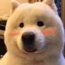 吕福军的个人资料头像