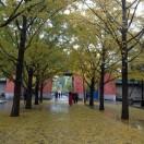 卫忠的个人资料头像