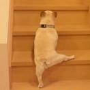 梦Plus的个人资料头像