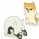 刘小金的个人资料头像