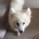 凌峰同学64797的个人资料头像