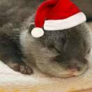 阿达在掘金64821的个人资料头像