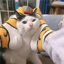 Ziyu64849的个人资料头像