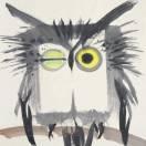 fcy的个人资料头像