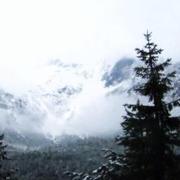 kfdykme的个人资料头像