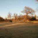 XLK64924的个人资料头像