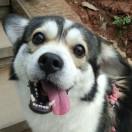 陈小米酱的个人资料头像