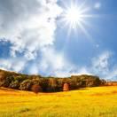 undefined的个人资料头像