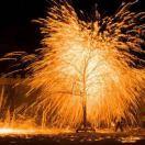 李泽阳的个人资料头像