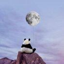 阿良就是我65029的个人资料头像