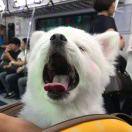 子颐大王的个人资料头像