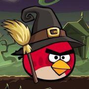 Easy哈磊的个人资料头像