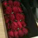 墨本尊65334的个人资料头像