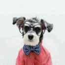 墨斗先生的个人资料头像