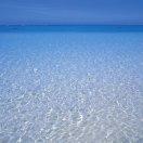 李戈的个人资料头像