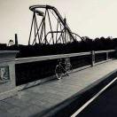 dual的个人资料头像