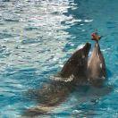 蔡欣的个人资料头像