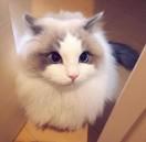 Leonidas同志的个人资料头像