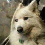 秀自己可好的个人资料头像