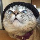 欢子13384847927的个人资料头像