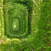 c471c725415f11e98e08d17bed55a7de的个人资料头像