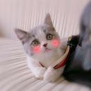 Z1u24的个人资料头像