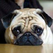 c4739c5c415f11e98e08d17bed55a7de的个人资料头像