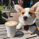 Evan在掘金65564的个人资料头像