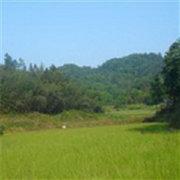 db763b61419211e983ee5b4f614eb33d的个人资料头像