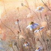 db763acf419211e983ee5b4f614eb33d的个人资料头像