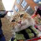 李尚霖的个人资料头像