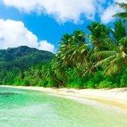 用户1187128289006030的个人资料头像