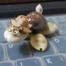 夜雨未歇的个人资料头像