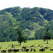 db7f3ddd419211e983ee5b4f614eb33d的个人资料头像