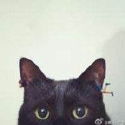 what公里876的个人资料头像