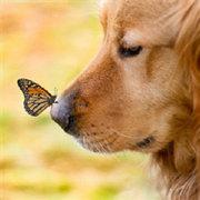 db7db504419211e983ee5b4f614eb33d的个人资料头像