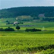 db7d8db0419211e983ee5b4f614eb33d的个人资料头像