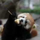 Stannis的个人资料头像