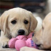 db813780419211e983ee5b4f614eb33d的个人资料头像