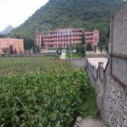 李国VS英雄联盟的个人资料头像