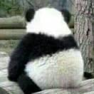 花生的个人资料头像