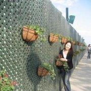 db87a22e419211e983ee5b4f614eb33d的个人资料头像